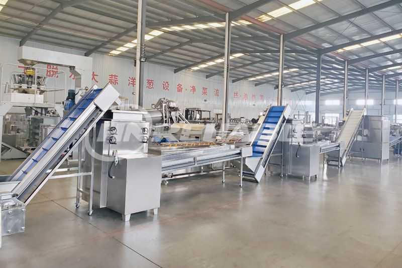 Automatic Garlic Clove Processing Line