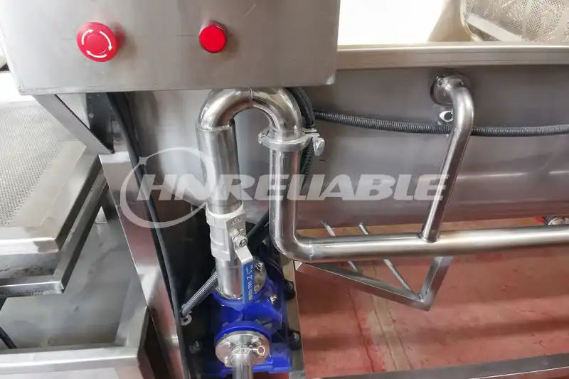 Automatic Garlic Clove Water Washing Machine