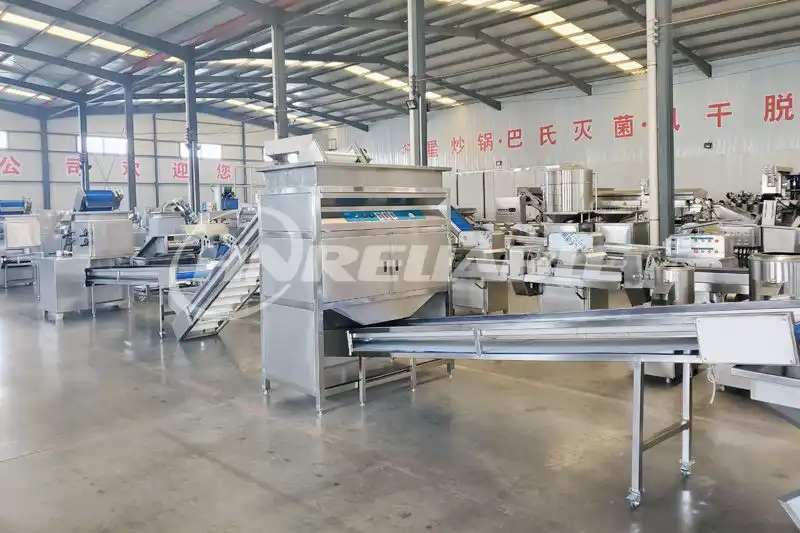 Automatic Garlic Paste Production Line