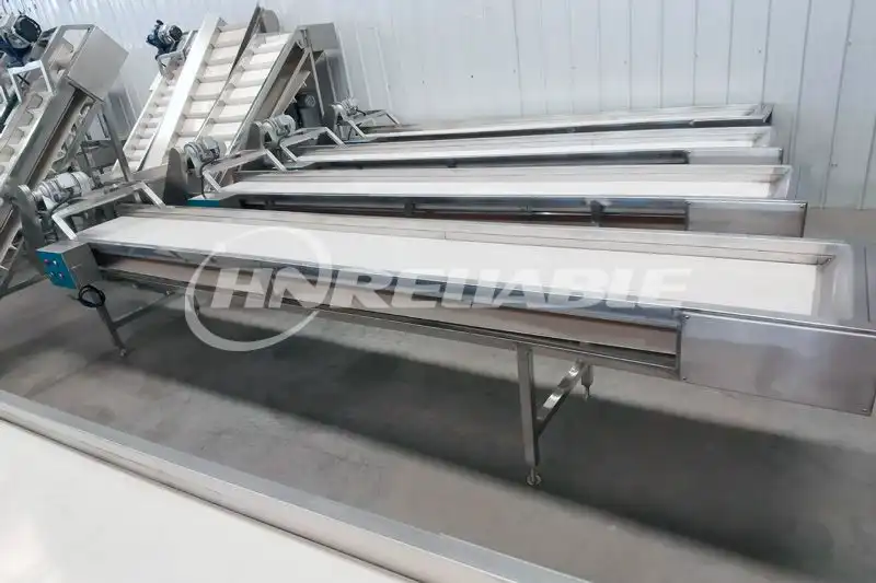 Manual Garlic Clove Selection Conveyor