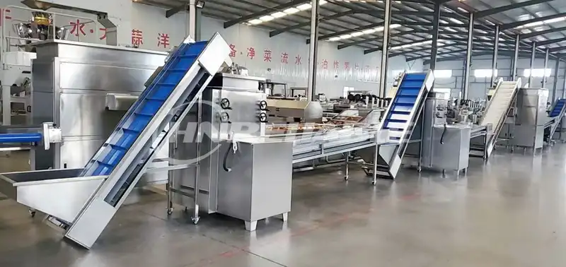 Automatic Garlic Clove Production Line